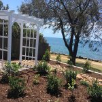 White Arbour overlooking the beach.